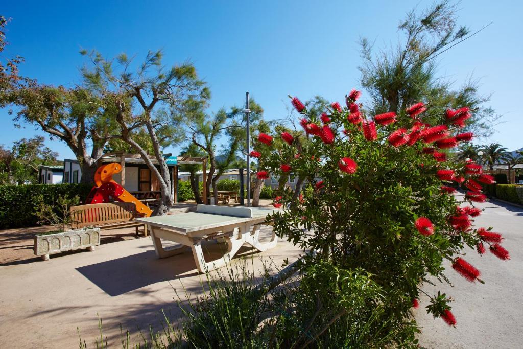 Apartaments Terraza - Salata Mar Roses Exteriér fotografie