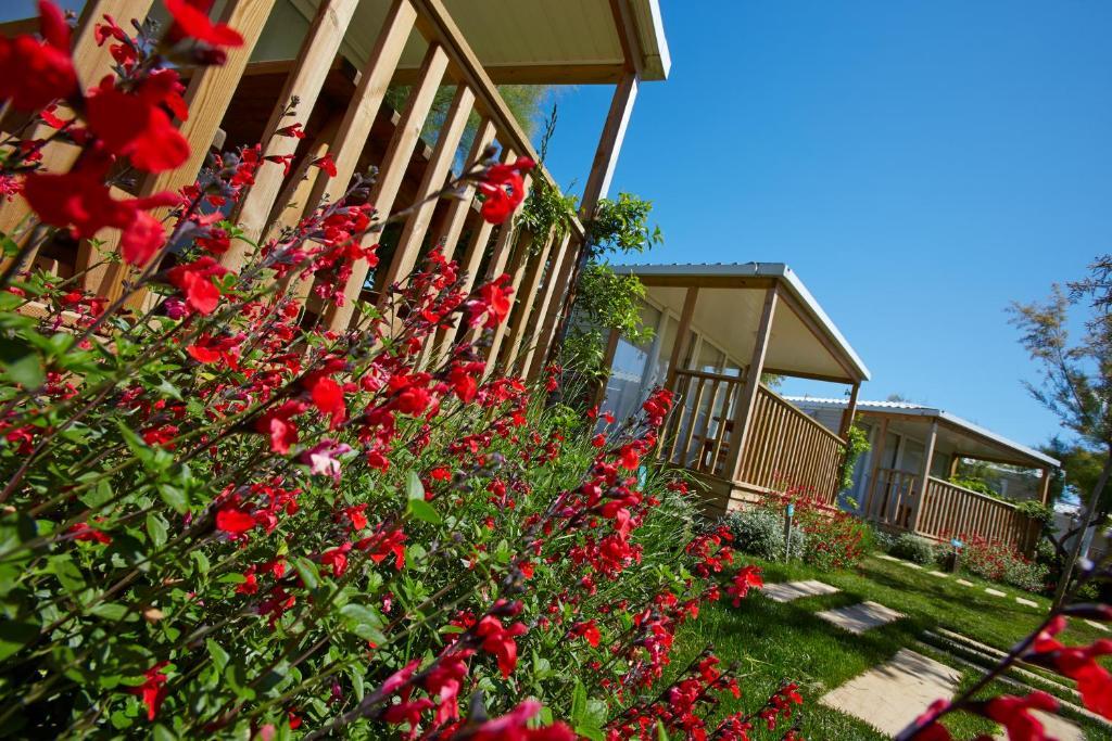 Apartaments Terraza - Salata Mar Roses Pokoj fotografie